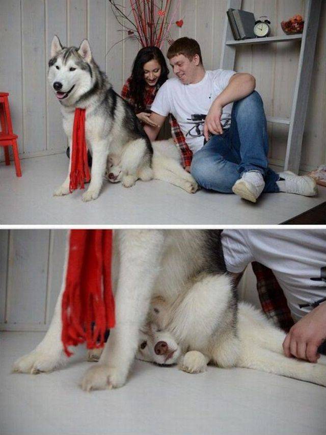 Weirdest Family Photos Discovered