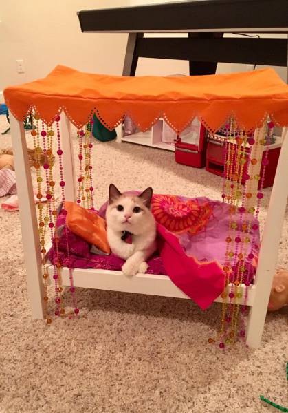 daily picdump 102 pics 27.html - 102 HD Photos | Premium Gallery 2017