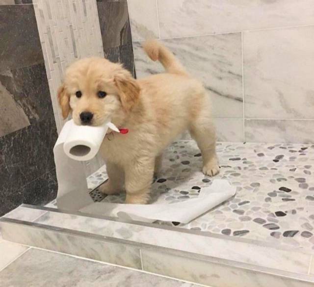 daily picdump 102 pics 27.html - 102 HD Photos | Premium Gallery 2017