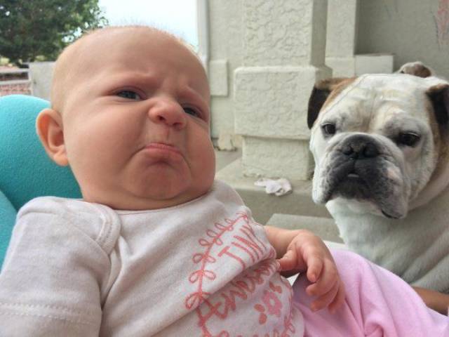 daily picdump 102 pics 27.html - 102 HD Photos | Premium Gallery 2017