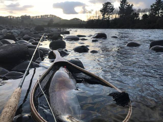 daily picdump 102 pics 27.html - 102 HD Photos | Premium Gallery 2017