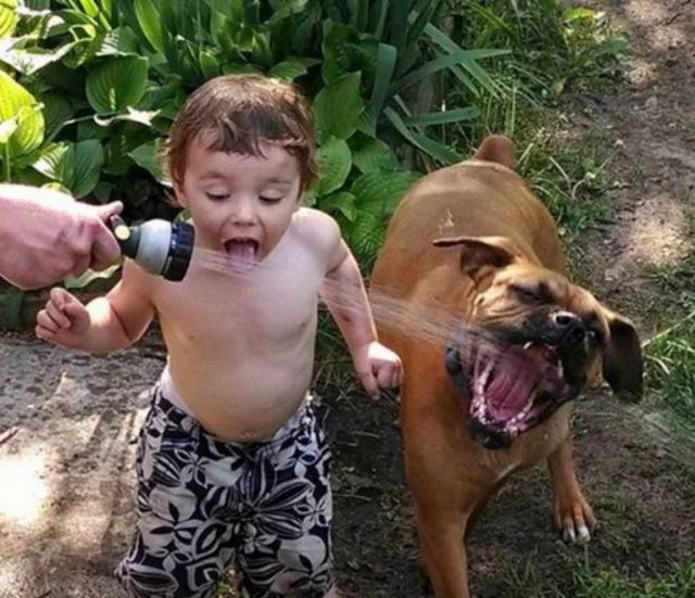 daily picdump 103 pics 26.html - 103 HD Photos | Premium Gallery 2017