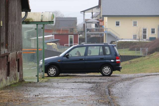 daily picdump 103 pics 26.html - 103 HD Photos | Premium Gallery 2017