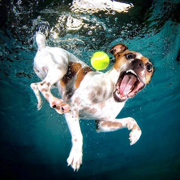 daily picdump 103 pics 26.html - 103 HD Photos | Premium Gallery 2017