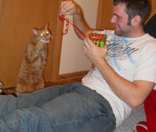 daily picdump 103 pics 26.html - 103 HD Photos | Premium Gallery 2017