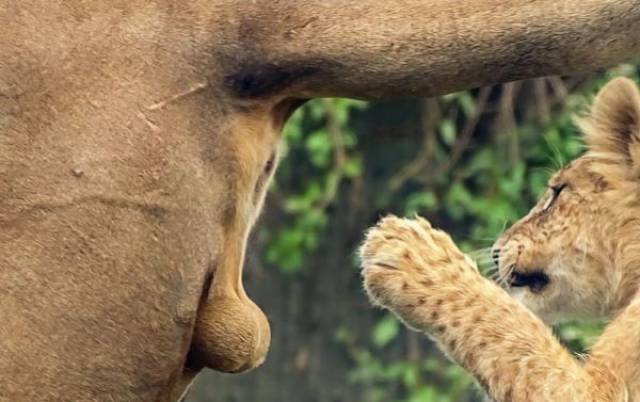 daily picdump 103 pics 26.html - 103 HD Photos | Premium Gallery 2017