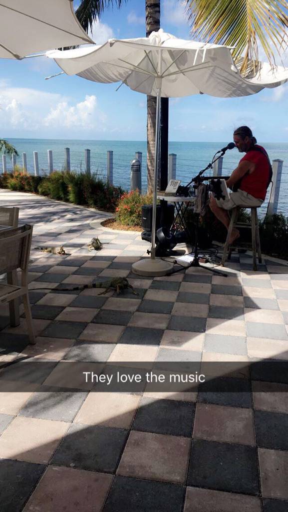 morning picdump 52 pics 26.html - 52 HD Photos | Premium Gallery 2017