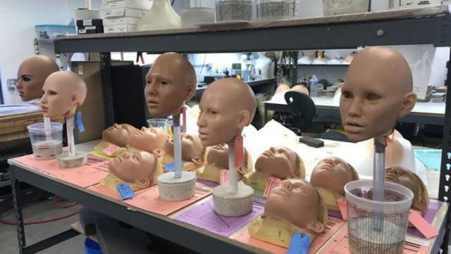 Sex Robot Factory In Action
