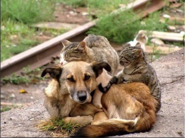 daily picdump 97 pics 18.html - 97 HD Photos | Premium Gallery 2017