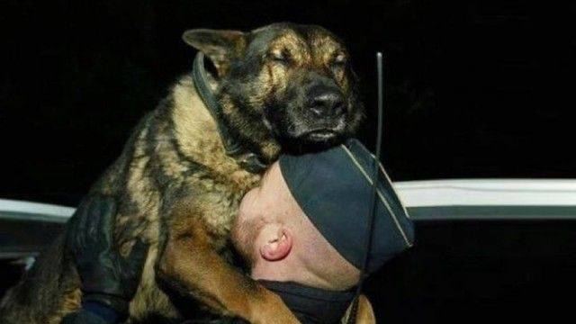 daily picdump 97 pics 18.html - 97 HD Photos | Premium Gallery 2017