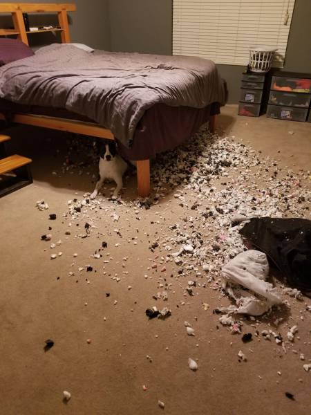 daily picdump 97 pics 18.html - 97 HD Photos | Premium Gallery 2017