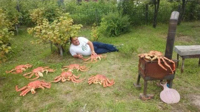 daily picdump 97 pics 18.html - 97 HD Photos | Premium Gallery 2017