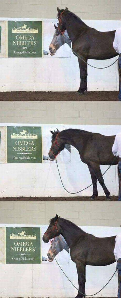 daily picdump 97 pics 18.html - 97 HD Photos | Premium Gallery 2017