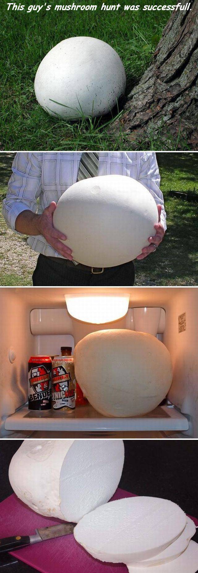 daily picdump 97 pics 18.html - 97 HD Photos | Premium Gallery 2017