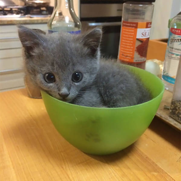 If It Fits, I Sits