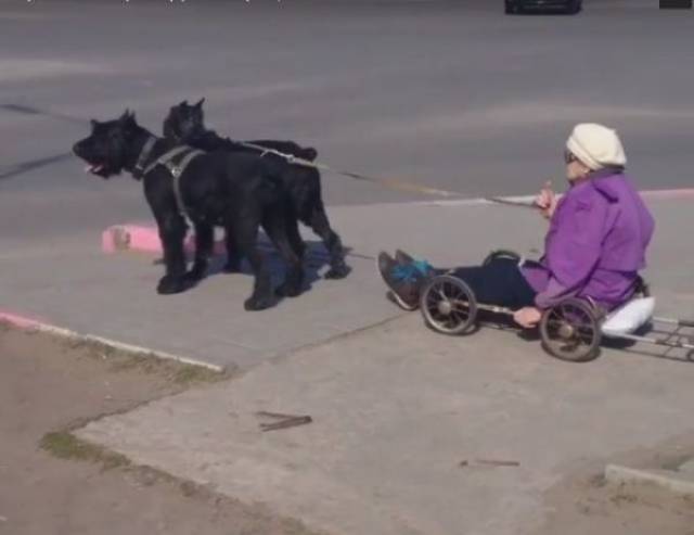 morning picdump 50 pics 8.html - 50 HD Photos | Premium Gallery 2017