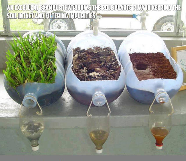 morning picdump 50 pics 8.html - 50 HD Photos | Premium Gallery 2017