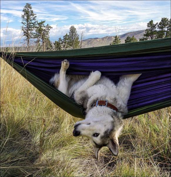 daily picdump 96 pics 2.html - 96 HD Photos | Premium Gallery 2017