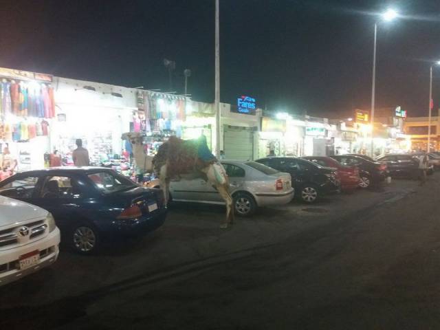 daily picdump 96 pics 2.html - 96 HD Photos | Premium Gallery 2017