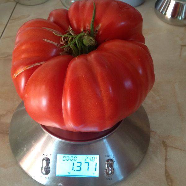 daily picdump 96 pics 2.html - 96 HD Photos | Premium Gallery 2017