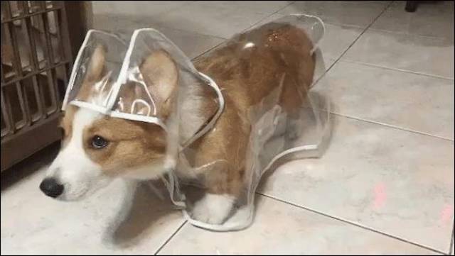 daily picdump 96 pics 2.html - 96 HD Photos | Premium Gallery 2017