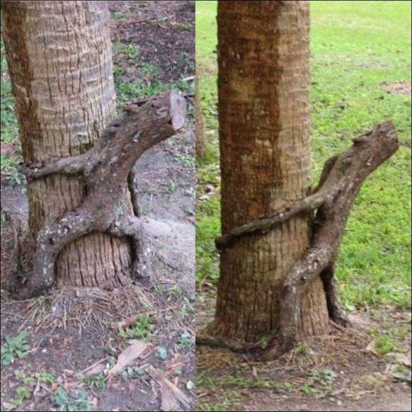 daily picdump 96 pics 2.html - 96 HD Photos | Premium Gallery 2017