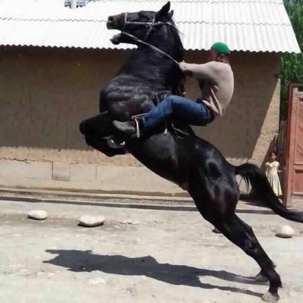 daily picdump 96 pics 2.html - 96 HD Photos | Premium Gallery 2017