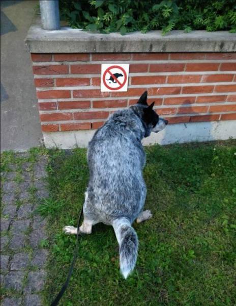 daily picdump 96 pics 2.html - 96 HD Photos | Premium Gallery 2017