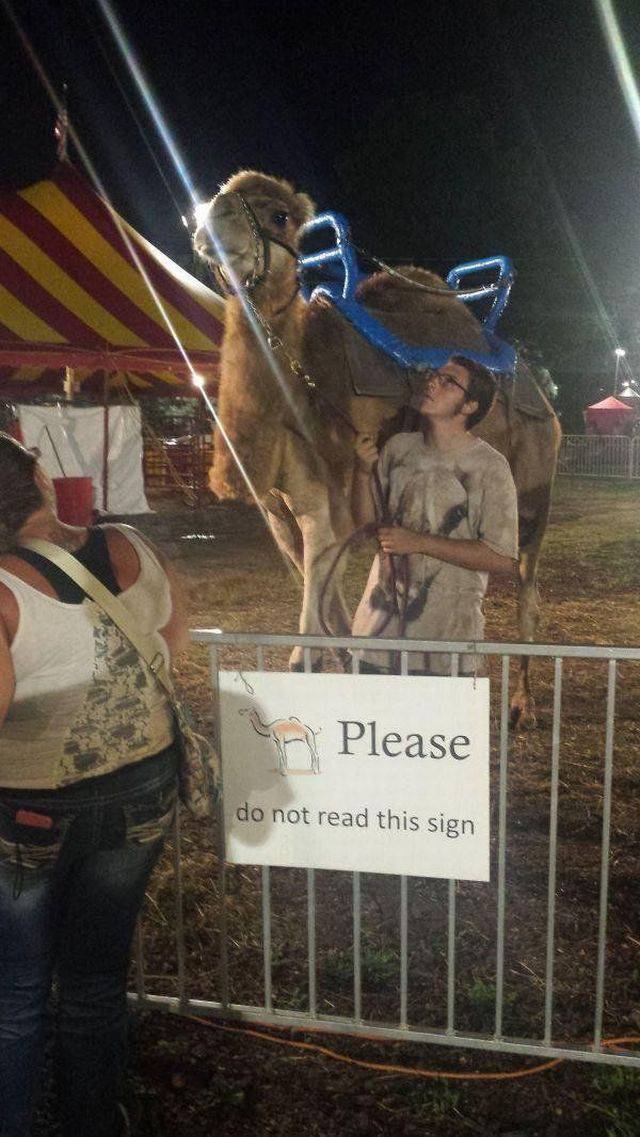 daily picdump 96 pics 2.html - 96 HD Photos | Premium Gallery 2017