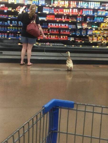 Girls Going a Little Crazy