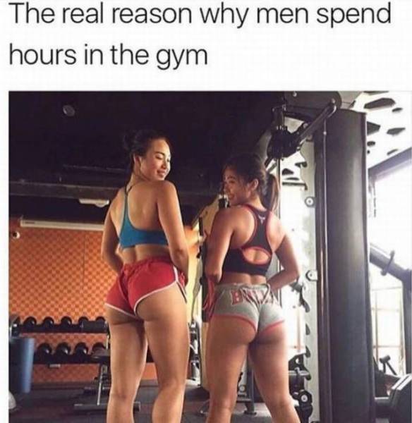 grownup corner 55 pics 10 gifs 33.html - 55 HD GIF | Premium Gallery 2017