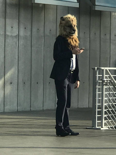 morning picdump 53 pics 14.html - 53 HD Photos | Premium Gallery 2017