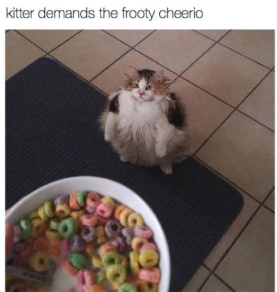 morning picdump 53 pics 14.html - 53 HD Photos | Premium Gallery 2017