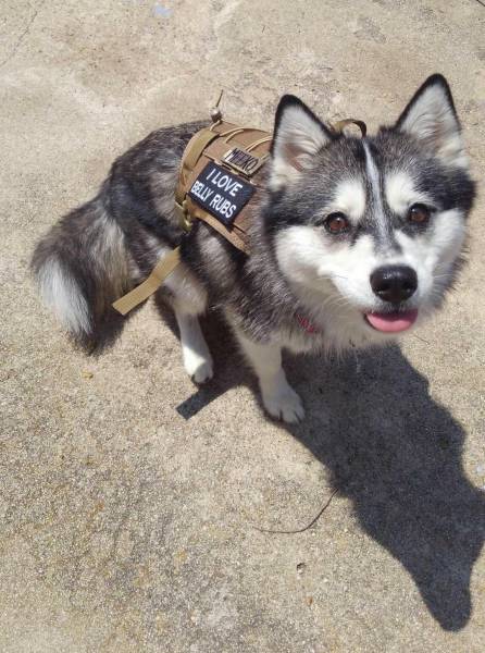 morning picdump 53 pics 14.html - 53 HD Photos | Premium Gallery 2017