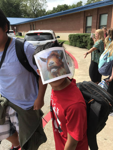 morning picdump 53 pics 14.html - 53 HD Photos | Premium Gallery 2017