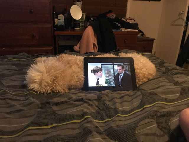 morning picdump 53 pics 14.html - 53 HD Photos | Premium Gallery 2017