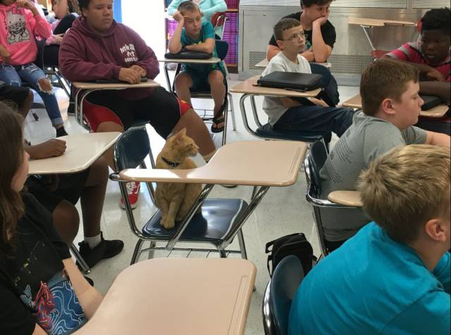 daily picdump weekend edition 55 pics 28.html - 55 HD Photos | Premium Gallery 2017