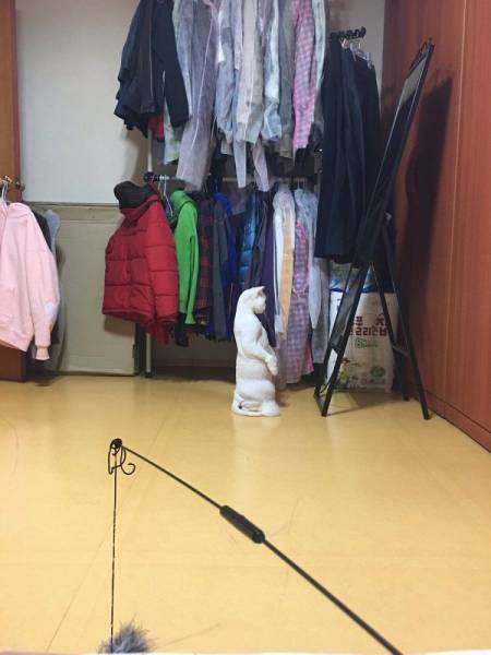 daily picdump 96 pics 42.html - 96 HD Photos | Premium Gallery 2017