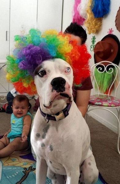 daily picdump 96 pics 42.html - 96 HD Photos | Premium Gallery 2017