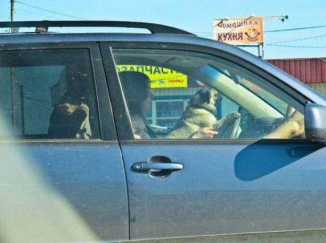 daily picdump 96 pics 42.html - 96 HD Photos | Premium Gallery 2017