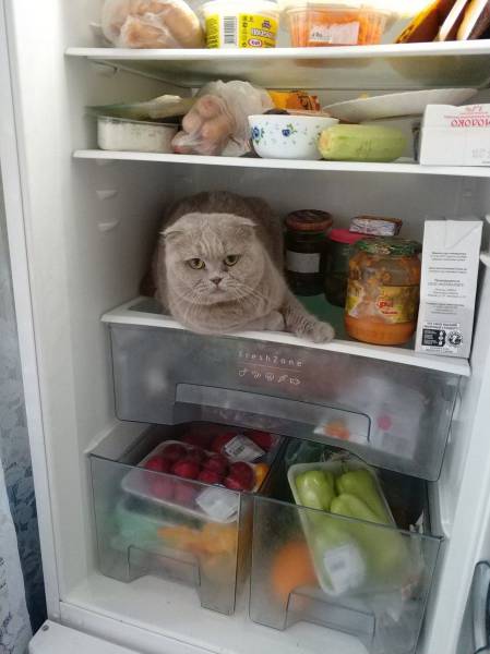 daily picdump 96 pics 42.html - 96 HD Photos | Premium Gallery 2017