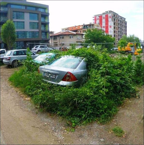 daily picdump 96 pics 42.html - 96 HD Photos | Premium Gallery 2017