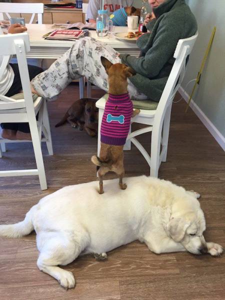 daily picdump 96 pics 42.html - 96 HD Photos | Premium Gallery 2017