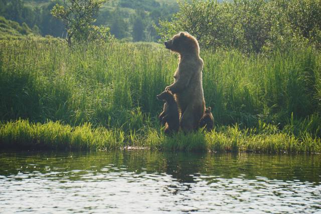 daily picdump 96 pics 42.html - 96 HD Photos | Premium Gallery 2017