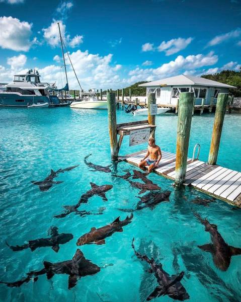 daily picdump 104 pics 49.html - 104 HD Photos | Premium Gallery 2017