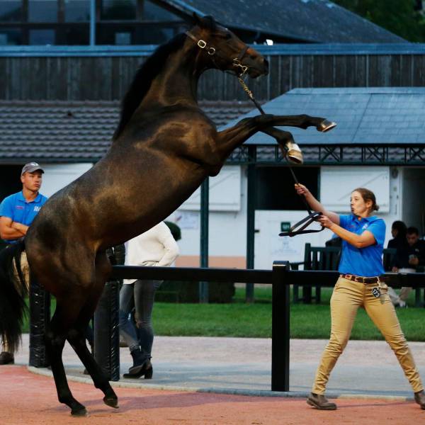 daily picdump 104 pics 49.html - 104 HD Photos | Premium Gallery 2017