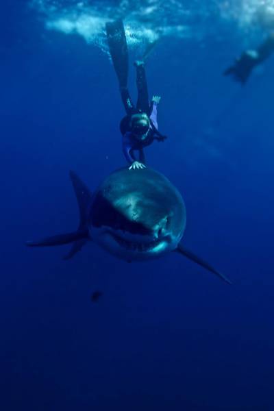 daily picdump 104 pics 49.html - 104 HD Photos | Premium Gallery 2017