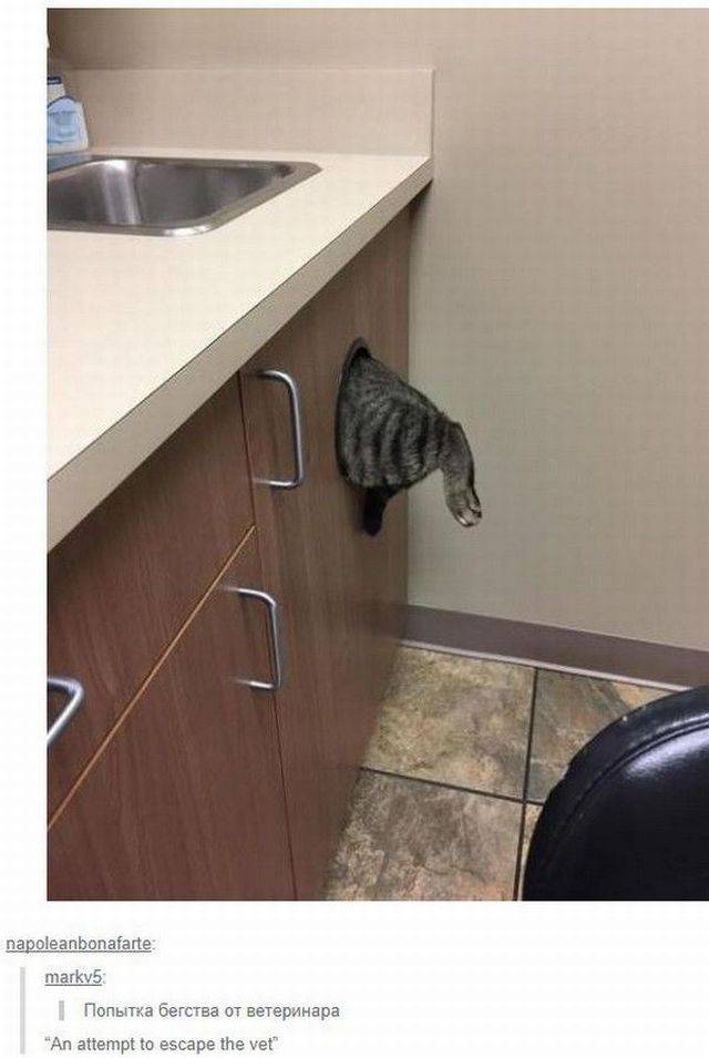 daily picdump 104 pics 49.html - 104 HD Photos | Premium Gallery 2017