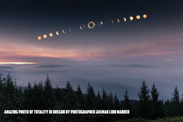 morning picdump 50 pics 5.html - 50 HD Photos | Premium Gallery 2017