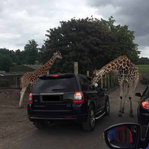 morning picdump 50 pics 5.html - 50 HD Photos | Premium Gallery 2017